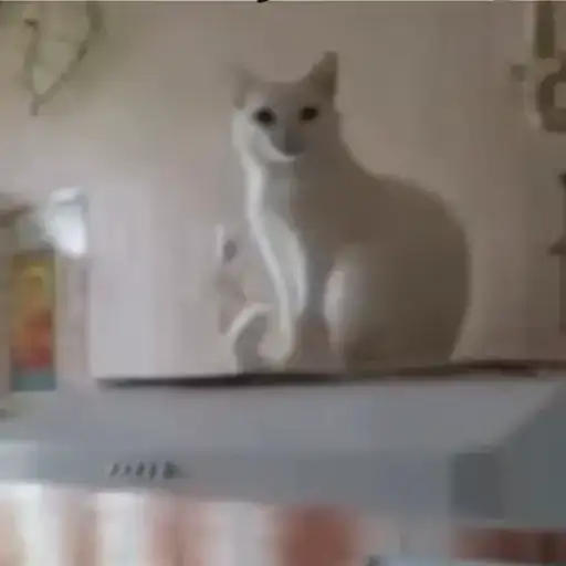 Coletadas sticker 12671