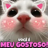 Figurinha de Animais para WhatsApp