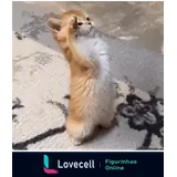 WhatsApp sticker