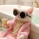 Figurinha de Animais para WhatsApp