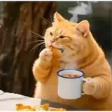 Figurinha de Animais para WhatsApp