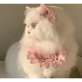 Figurinha de Gatos para WhatsApp