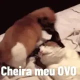 Figurinha de Memes Brasileiros para WhatsApp