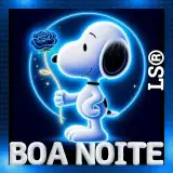Boa Noite WhatsApp sticker