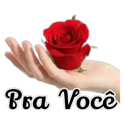 Coletadas sticker 857