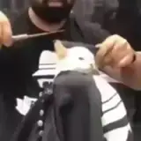 Figurinha de Engraçados para WhatsApp