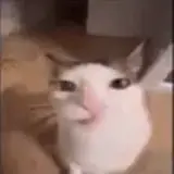 Figurinha para WhatsApp