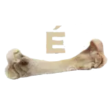 Figurinha de Animais para WhatsApp