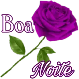 Boa Noite WhatsApp sticker