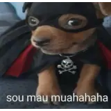 Sticker de Memes para WhatsApp