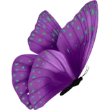 Figurinha de Animais para WhatsApp