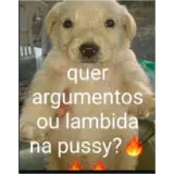 Figurinha para WhatsApp