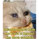 Figurinha de Gatos para WhatsApp