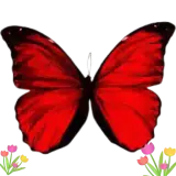 Figurinha de Animais para WhatsApp