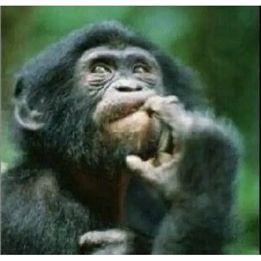 Coletadas sticker 367