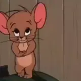 Figurinha de Animais para WhatsApp