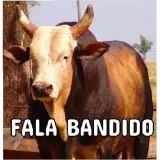 Memes Brasileiros WhatsApp sticker