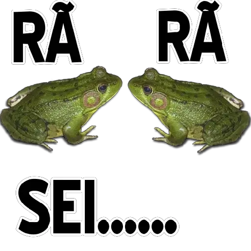 Coletadas sticker 4857