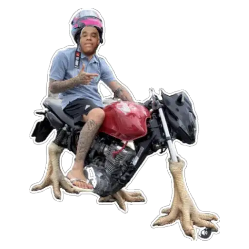 Coletadas sticker 22418