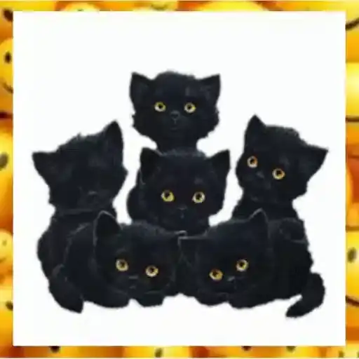 Coletadas sticker 4682