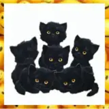 Figurinha de Gatos para WhatsApp