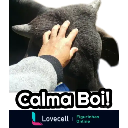 Coletadas sticker 33924