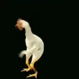 Figurinha para WhatsApp