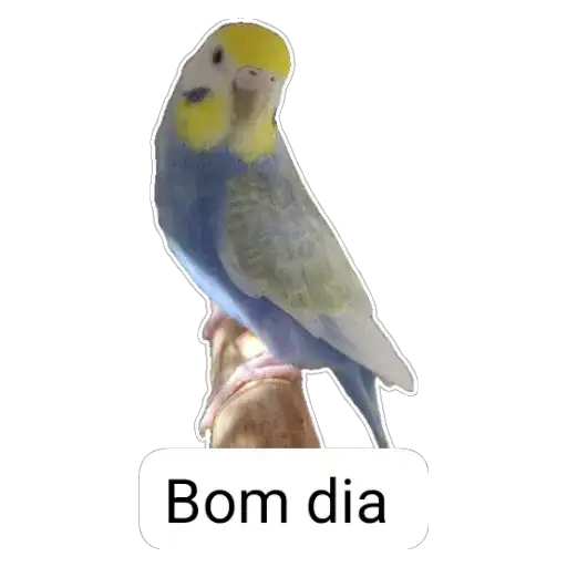 Coletadas sticker 26692