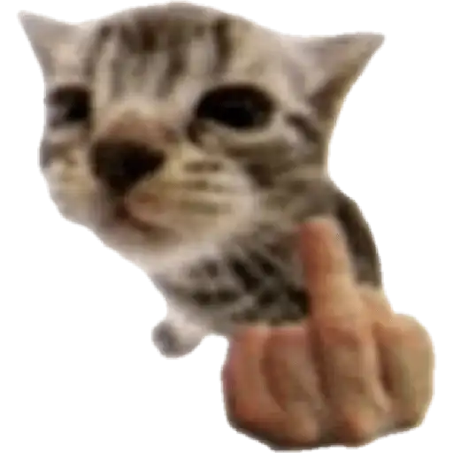 Coletadas sticker 20696