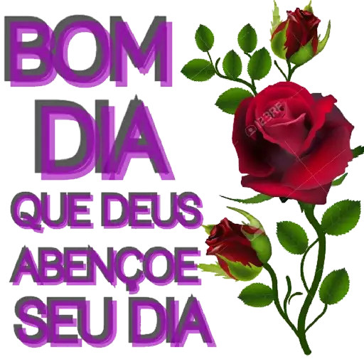 Coletadas sticker 2029