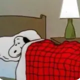 Figurinha de Animais para WhatsApp