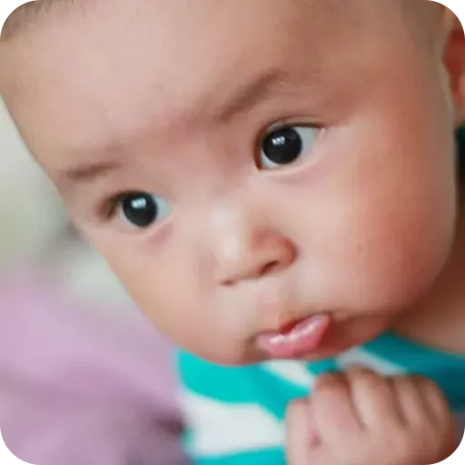 Sticker para WhatsApp — reação
