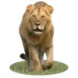 Figurinha para WhatsApp