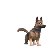 Cachorros WhatsApp sticker