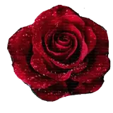 Sticker para WhatsApp