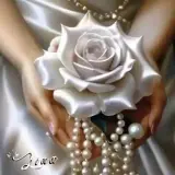 Amor WhatsApp sticker