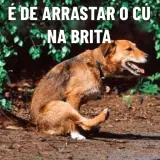 Figurinha de Memes Brasileiros para WhatsApp