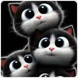 Gatos WhatsApp sticker