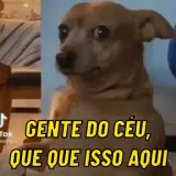 Figurinha de reação para WhatsApp