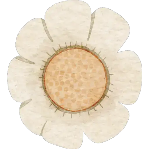 Coletadas sticker 2394