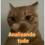 Memes WhatsApp sticker