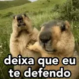 Memes Brasileiros WhatsApp sticker