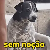 Sticker para WhatsApp