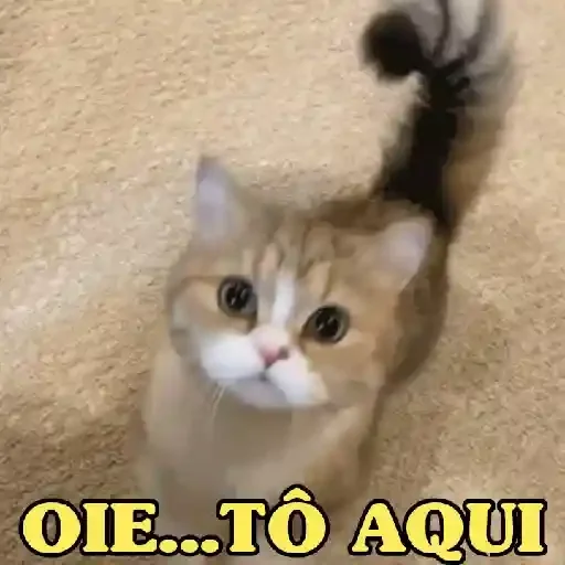 Figurinha para WhatsApp — Gatos