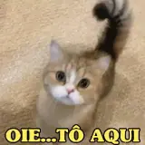 Figurinha de Gatos para WhatsApp