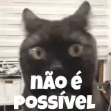 Figurinha de Gatos para WhatsApp