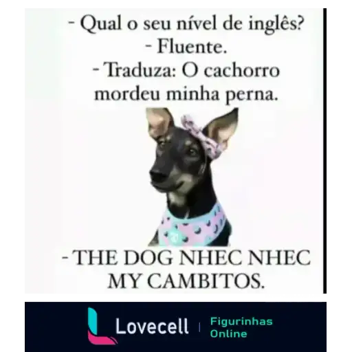 Coletadas sticker 32722