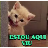 Sticker de Gatos para WhatsApp