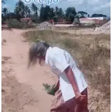 Figurinha de Engraçados para WhatsApp