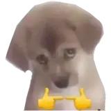 Figurinha de Cachorros para WhatsApp